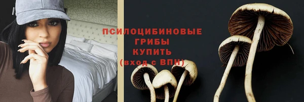 прущие грибы Алексин