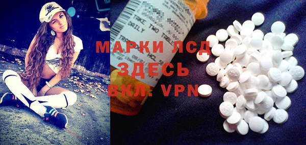 прущие грибы Алексин