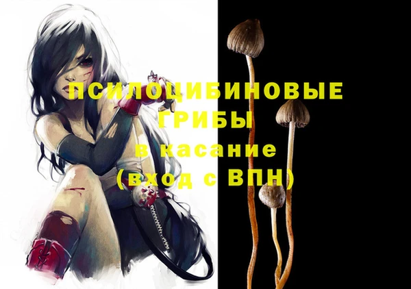 шишки Алзамай